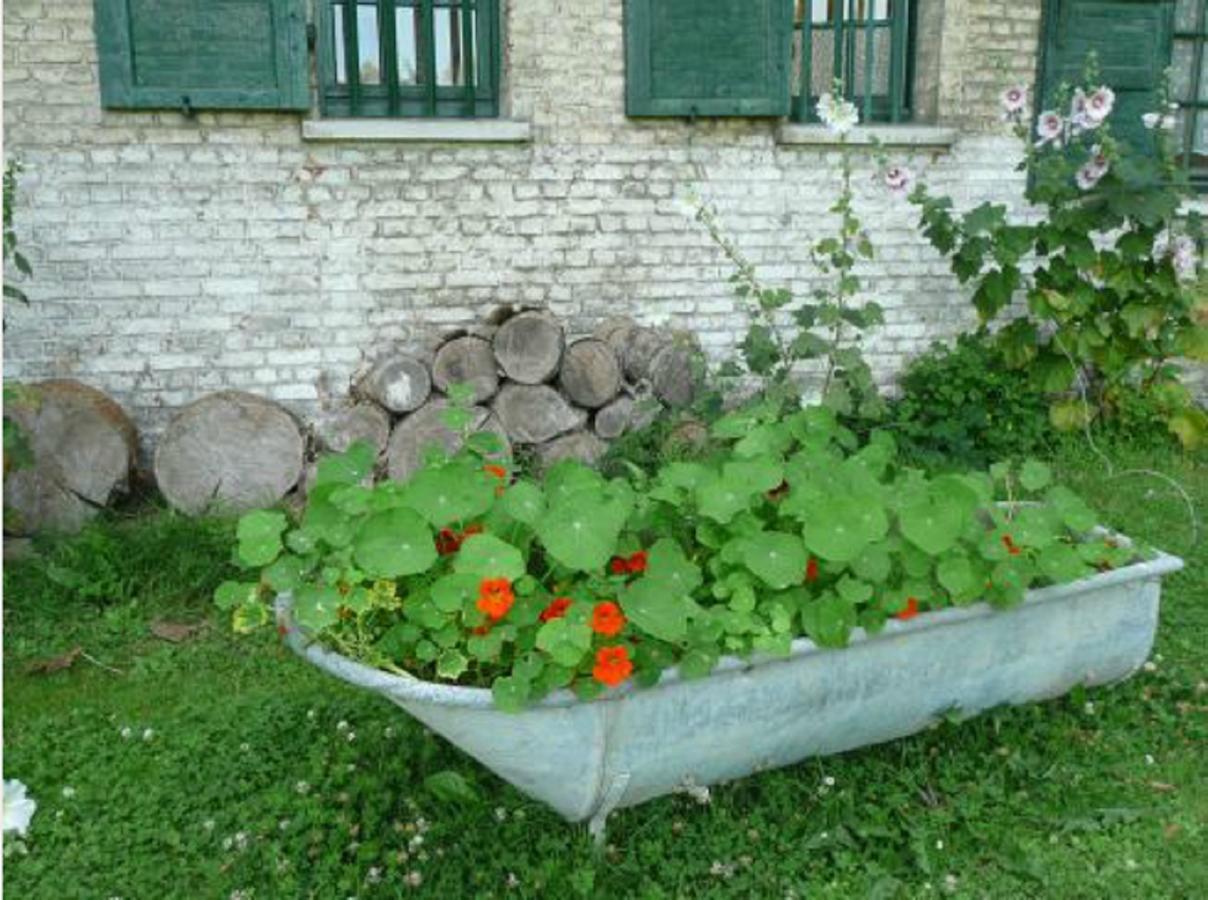 Bed and Breakfast Manoir De Bois En Ardres Exterior foto