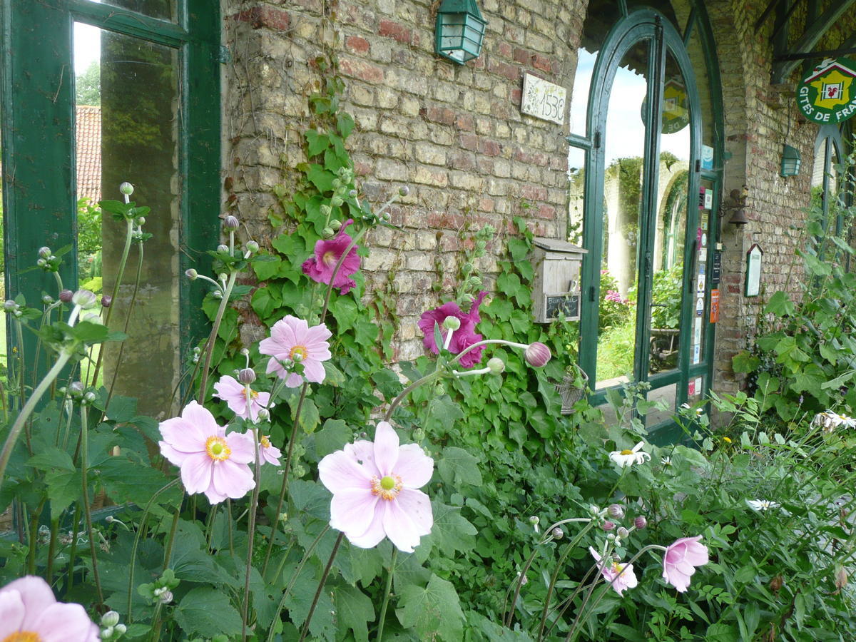 Bed and Breakfast Manoir De Bois En Ardres Exterior foto