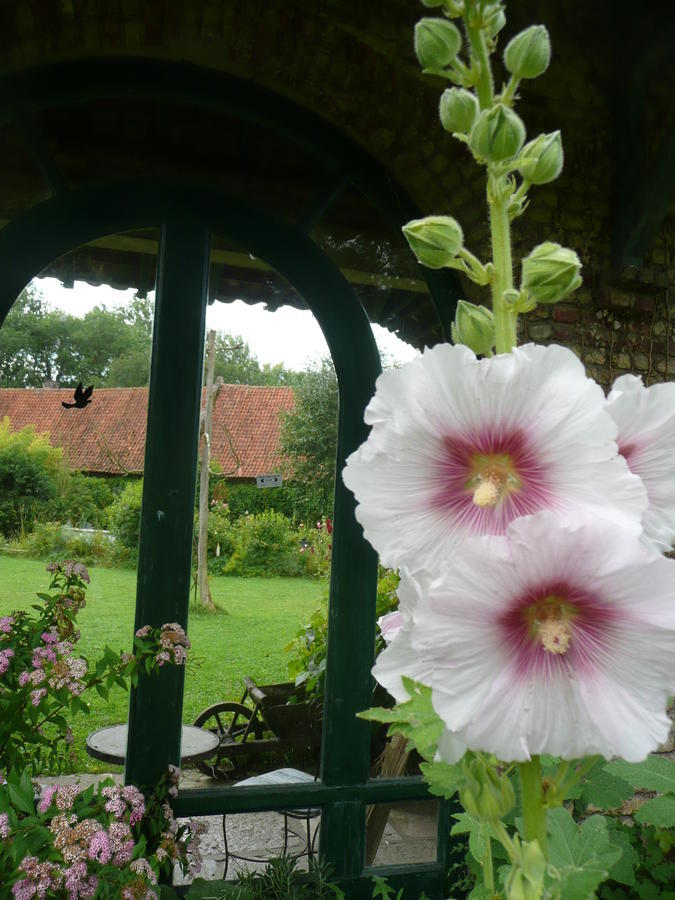 Bed and Breakfast Manoir De Bois En Ardres Exterior foto